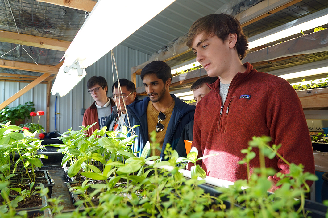 Batten students in Coalfield Development Greenhouse