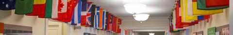 Flags at Darden