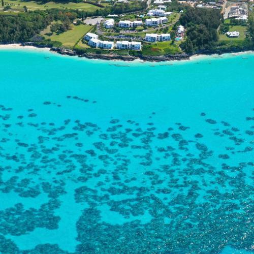 Coral Reefs in Bermuda