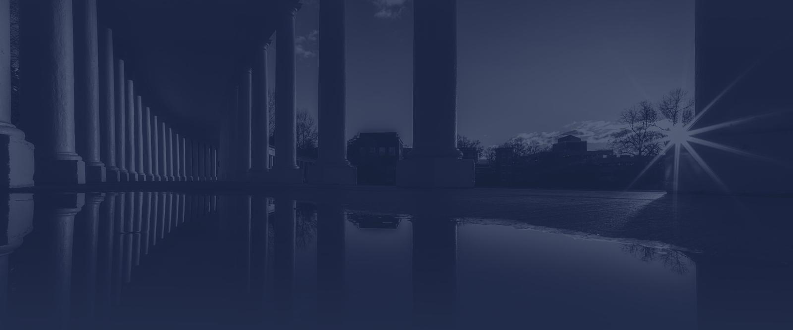 Lambeth Field Colonnade in Blue