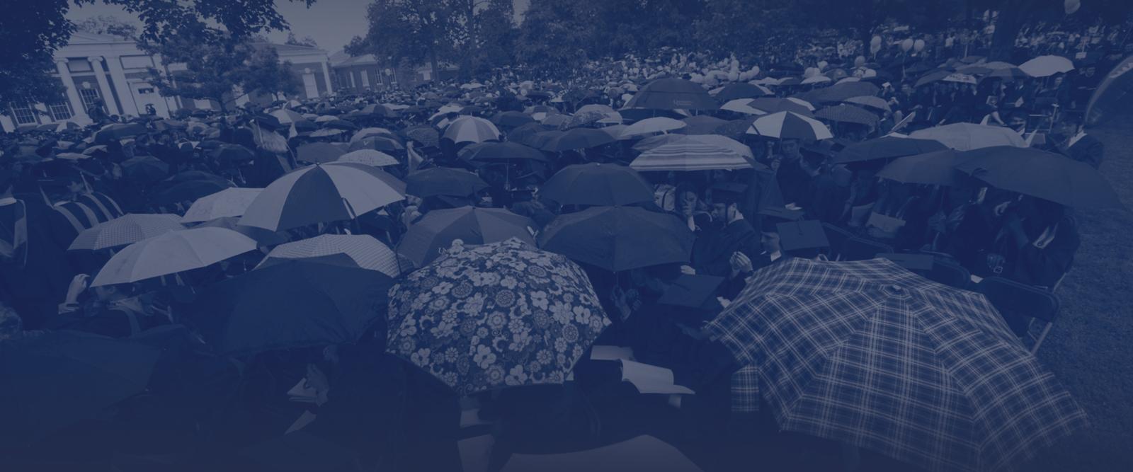 Rainy Day Fund Umbrellas