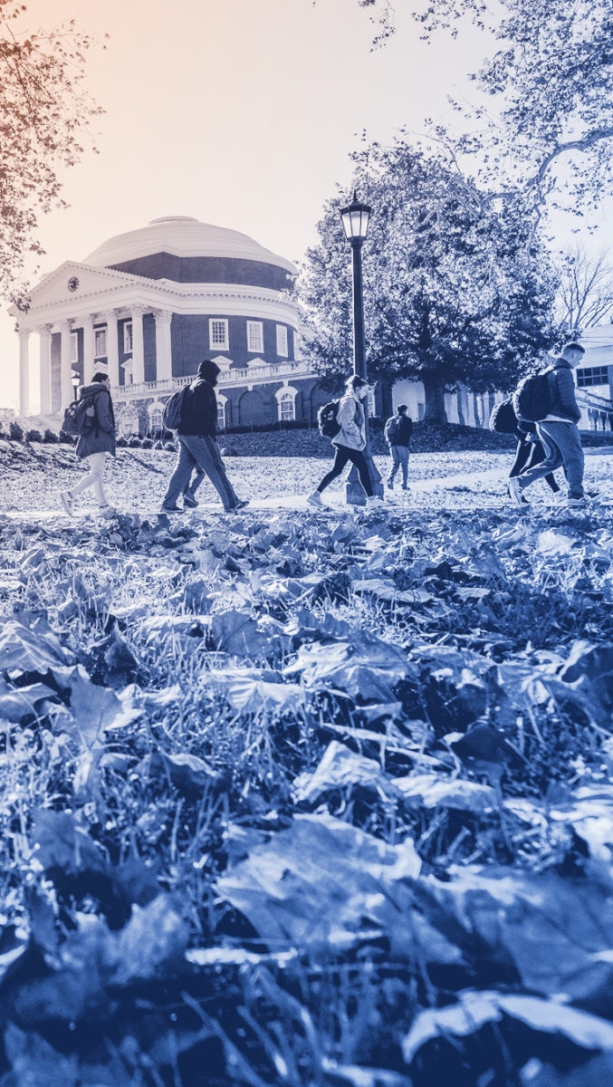 Leaves in front of the Rotunda