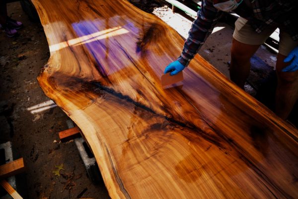 A Future for Fallen Trees