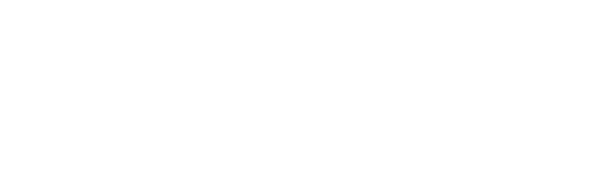 The Virginia Fund logo