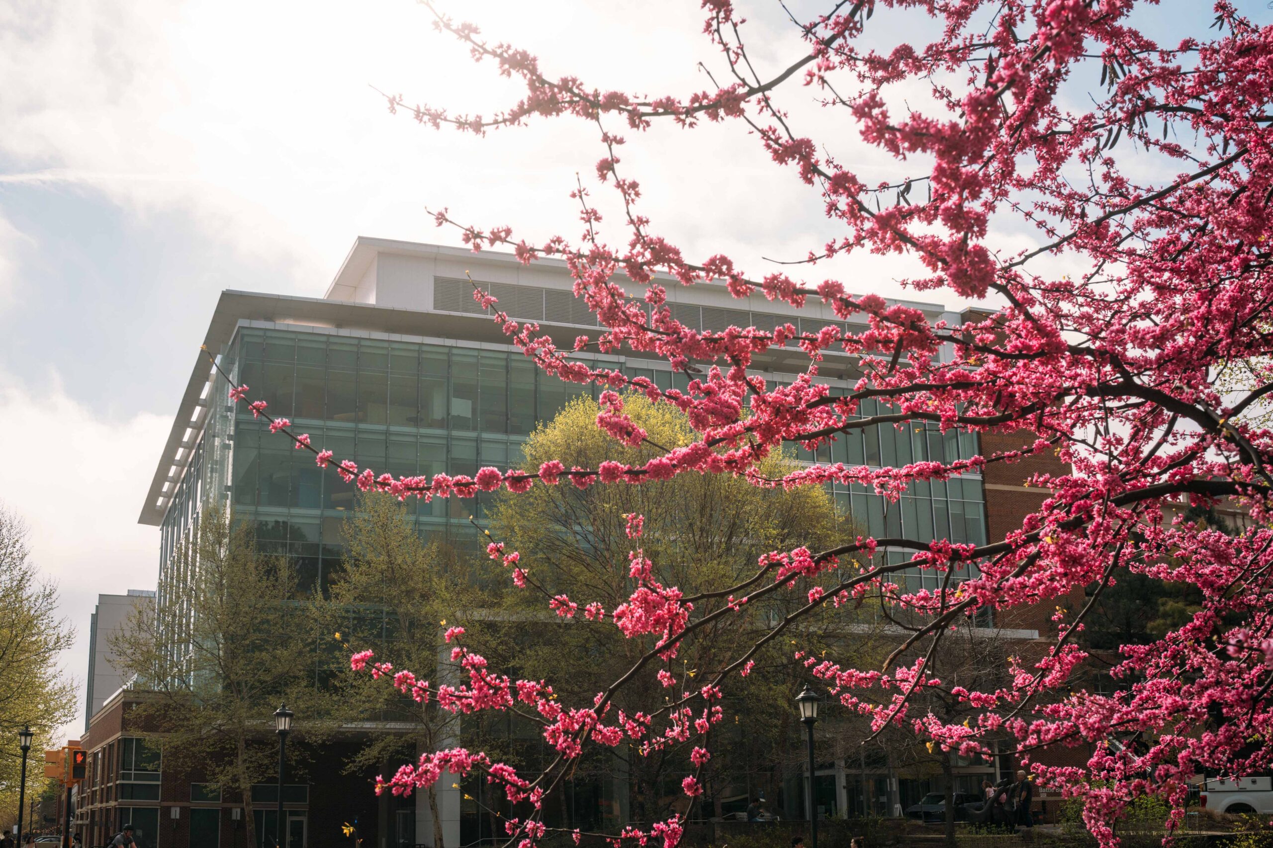 UVA Health's Battle building in full spring bloom