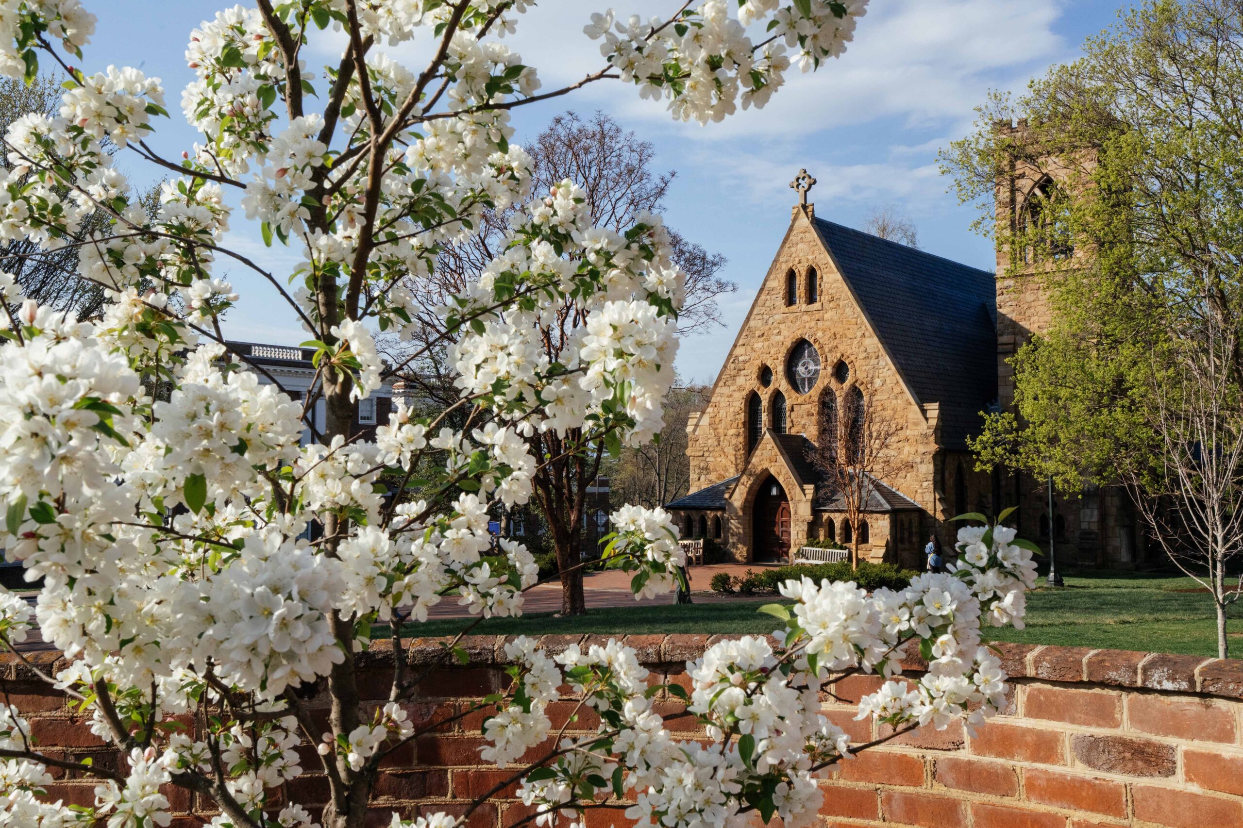 University of Virginia Chapel with spring flowers blooming in foreground