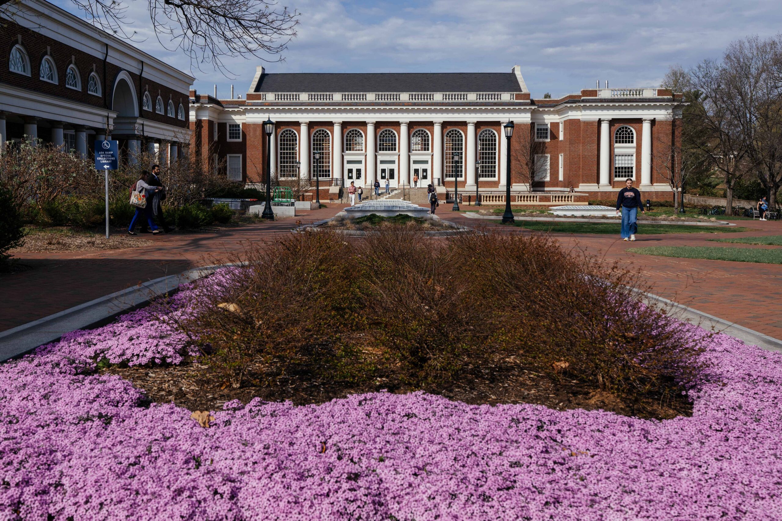 Landscape photo of the newly renovated Shannon Library with pink flowers in bloom in the foreground