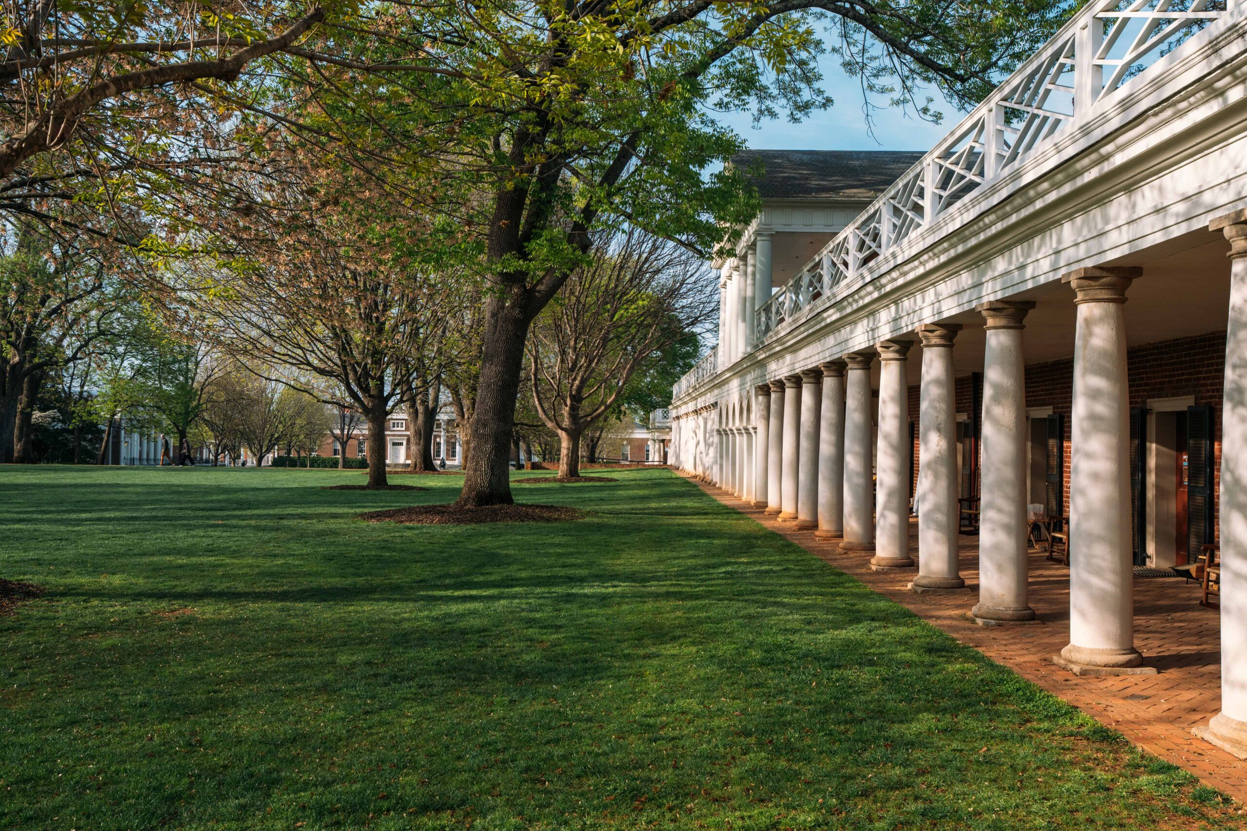 Beautiful sunny day on the UVA lawn, Pavilions on right with lawn and trees filling the lefthand side of image