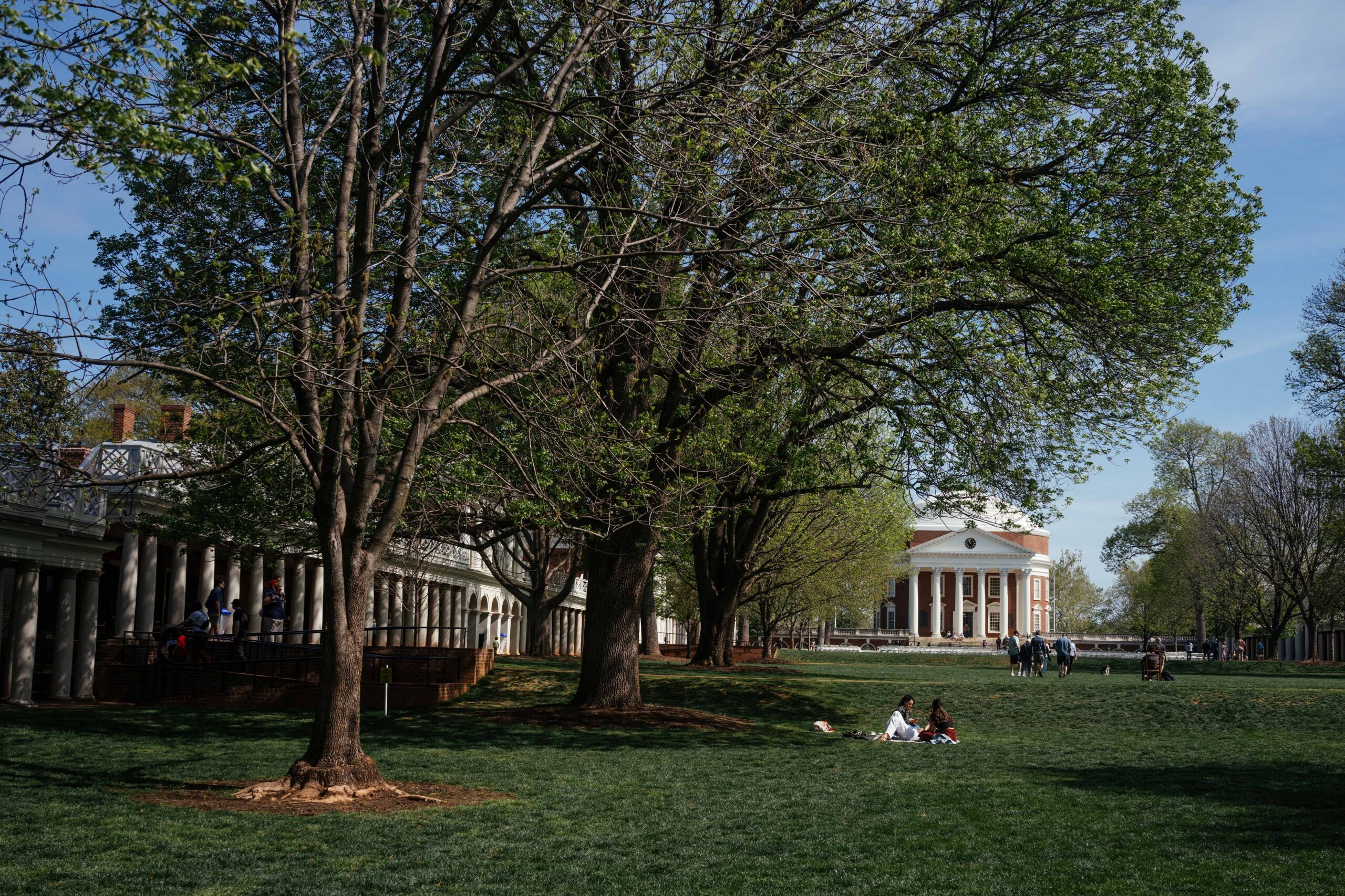 Students on the Lawn with the Rotunda in the background